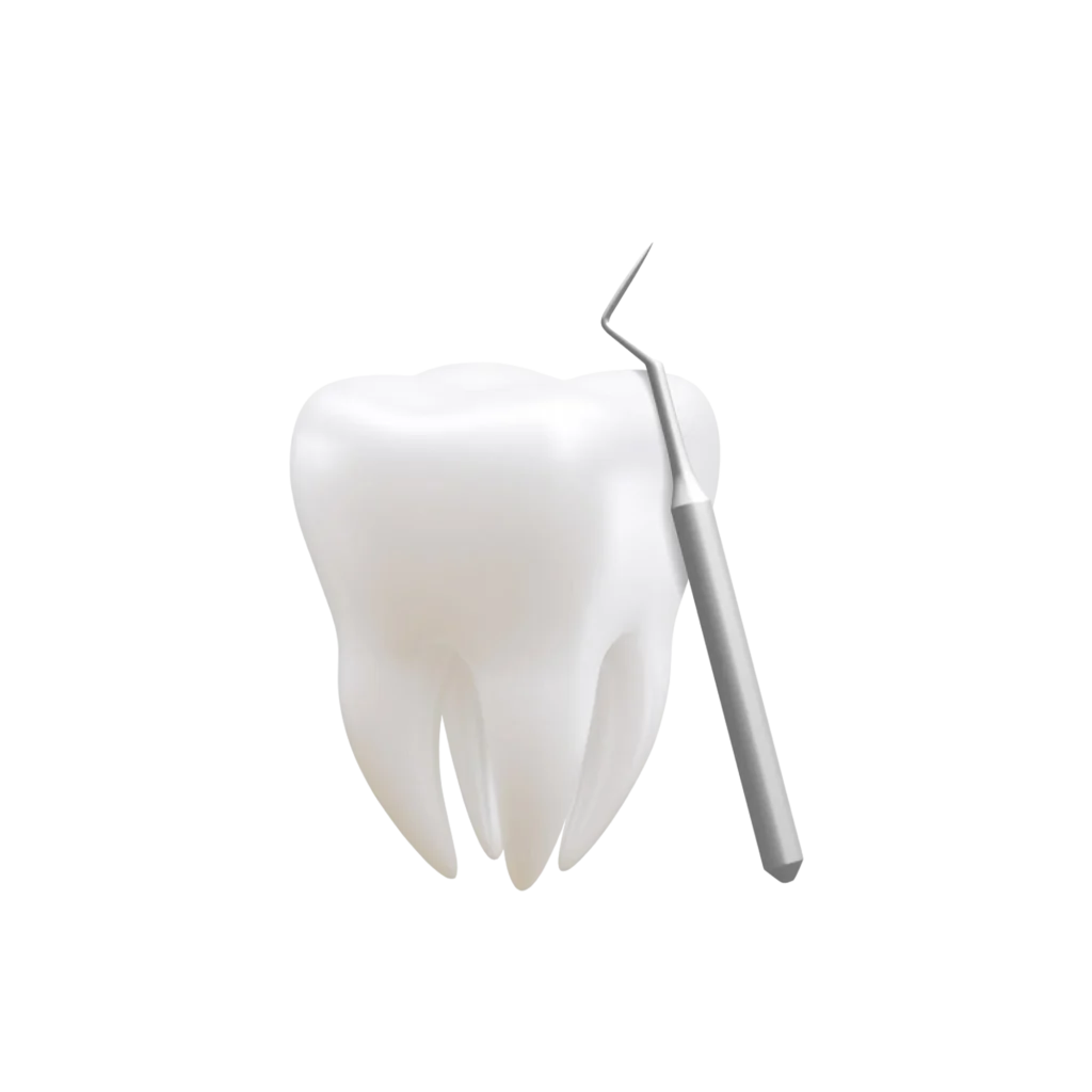 diente dental ealista